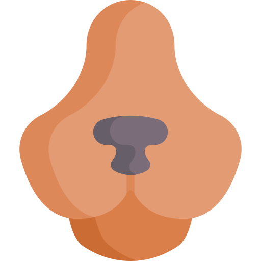 Dog nose Special Flat icon