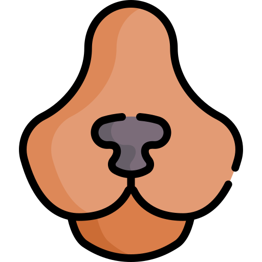 Dog nose Special Lineal color icon