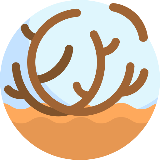 tumbleweed Detailed Flat Circular Flat icoon