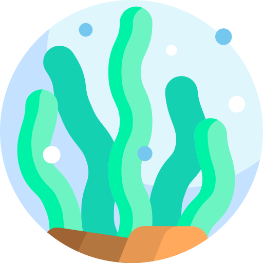Algae Detailed Flat Circular Flat icon