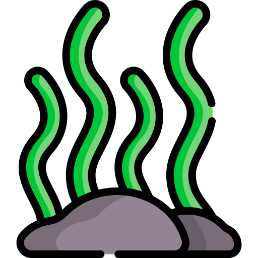 algen Special Lineal color icoon