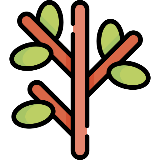 나뭇 가지 Kawaii Lineal color icon