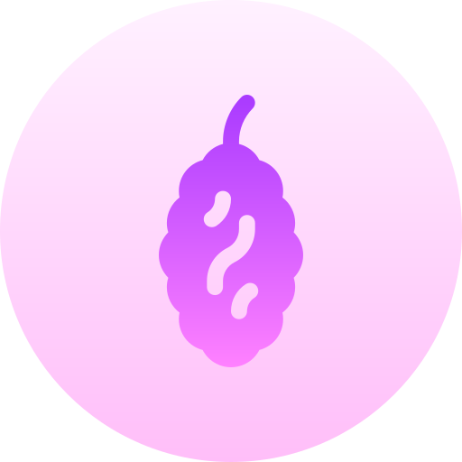 Raisins Basic Gradient Circular icon
