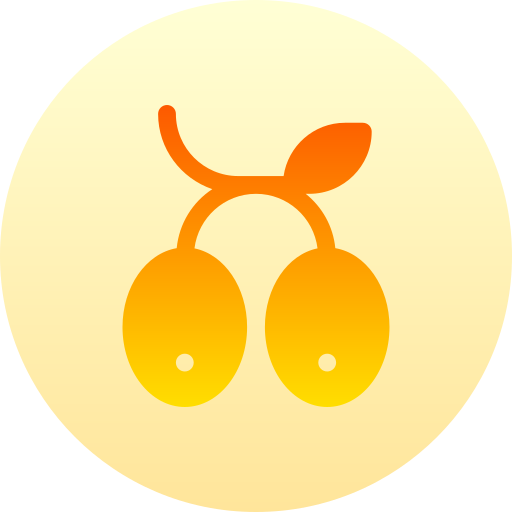 aceituna Basic Gradient Circular icono