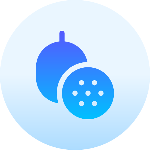 パッションフルーツ Basic Gradient Circular icon