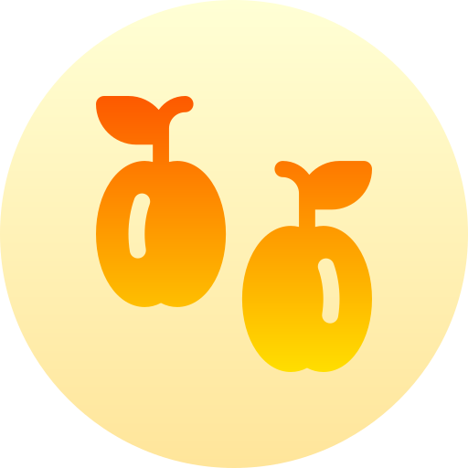 Plum Basic Gradient Circular icon