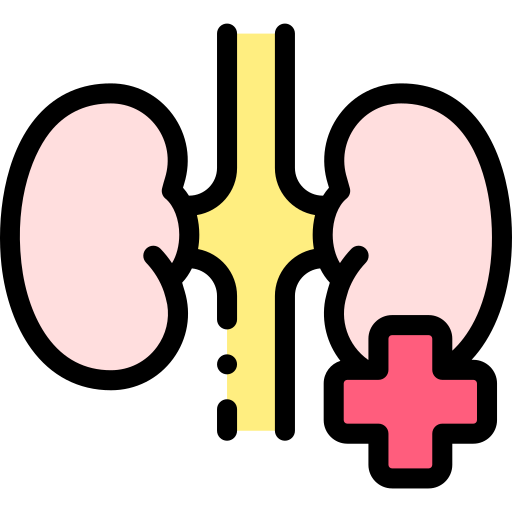 Kidney Detailed Rounded Lineal color icon
