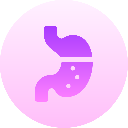 estómago Basic Gradient Circular icono