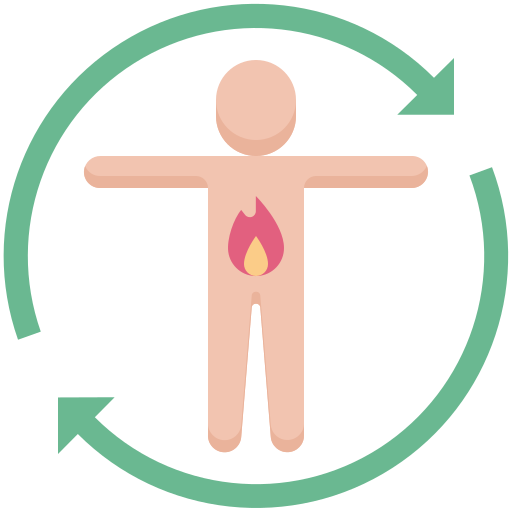 metabolismo Generic Flat icono