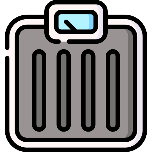 Weight scale Special Lineal color icon