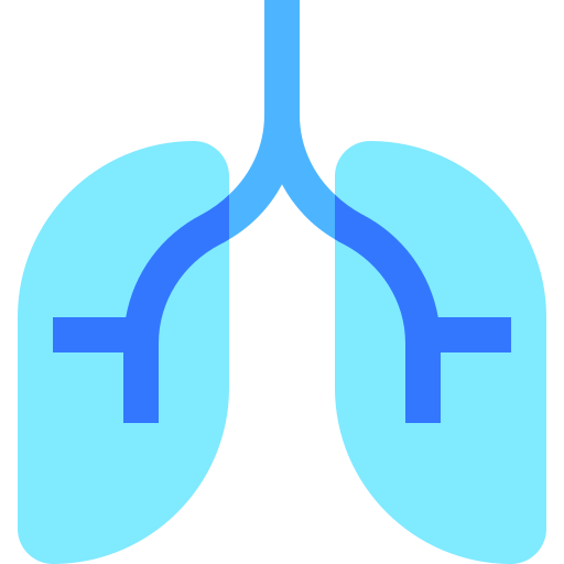 肺 Basic Sheer Flat icon
