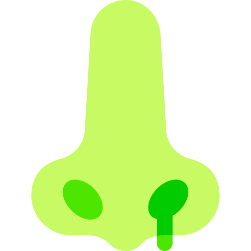nariz Basic Sheer Flat icono
