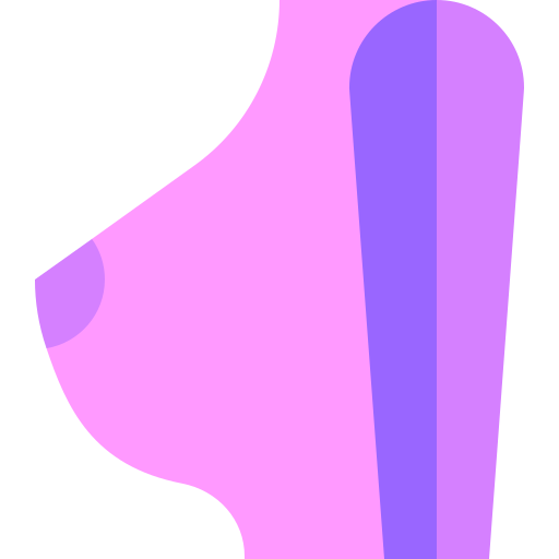 Breasts Basic Sheer Flat icon