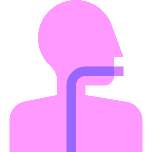 speiseröhre Basic Sheer Flat icon