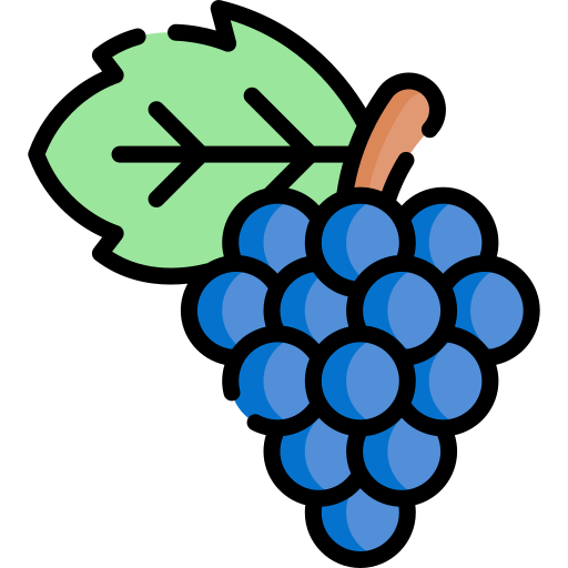 Виноград Special Lineal color иконка