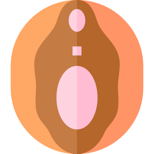 vagina Basic Straight Flat icon