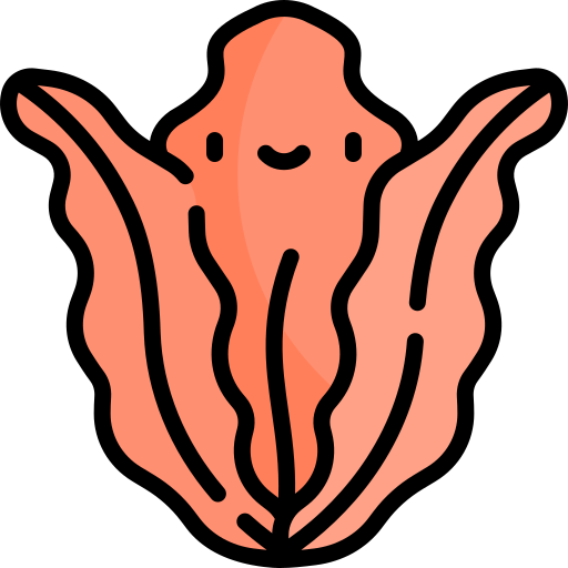 alghe rosse Kawaii Lineal color icona