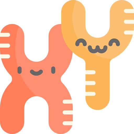 cromosoma Kawaii Flat icona