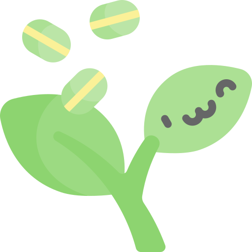 Chlorophyll Kawaii Flat icon