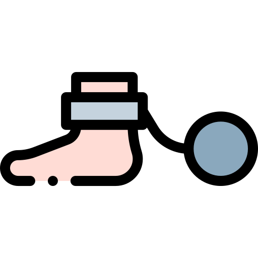 trimer Detailed Rounded Lineal color Icône