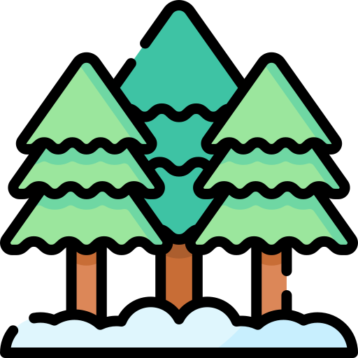 숲 Special Lineal color icon