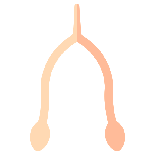 Wishbone Generic Flat icon