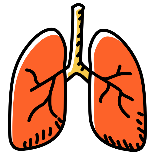 sistema respiratorio Generic Hand Drawn Color icona