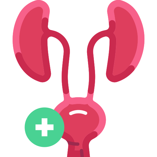 urologie Generic Flat icon