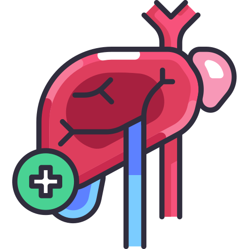 hepatologie Generic Outline Color icon