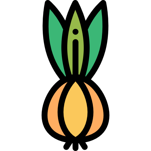 Onion Detailed Rounded Lineal color icon