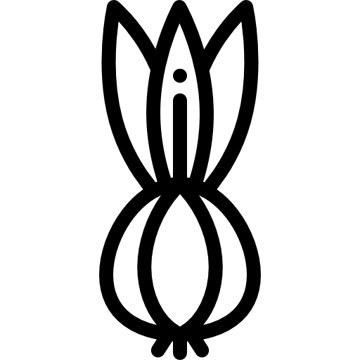 양파 Detailed Rounded Lineal icon