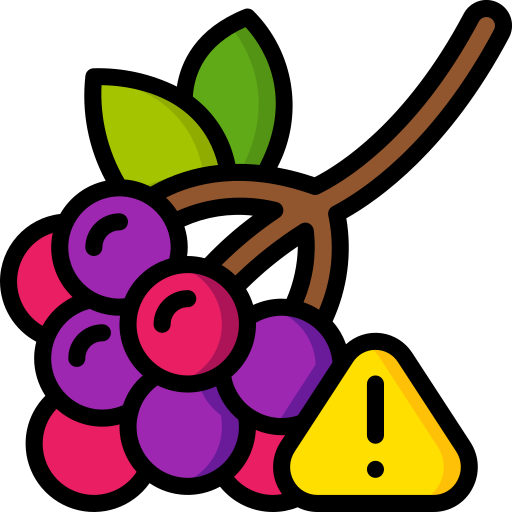 beeren Basic Miscellany Lineal Color icon