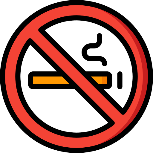 No smoking Basic Miscellany Lineal Color icon