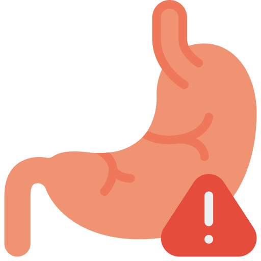 Stomach Basic Miscellany Flat icon