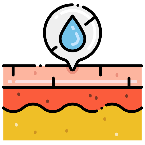 Dry skin Flaticons Lineal Color icon