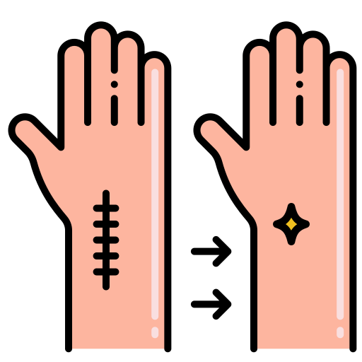 Scars Flaticons Lineal Color icon