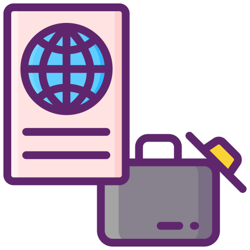 Passport Flaticons Lineal Color icon