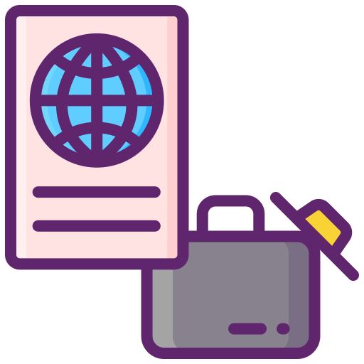 passaporto Flaticons Lineal Color icona