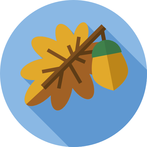 bellota Flat Circular Flat icono