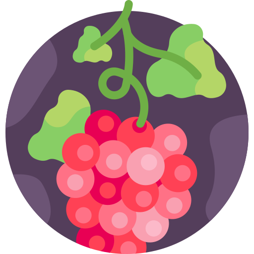 Grapes Detailed Flat Circular Flat icon