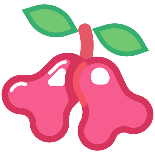 Rose apple Generic Flat icon