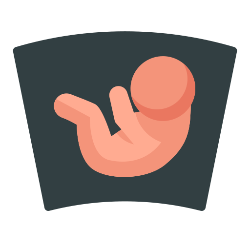 Ultrasound Generic Flat icon