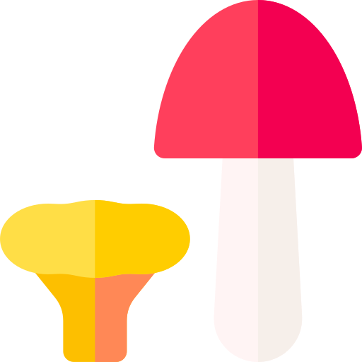 champignons Basic Rounded Flat Icône