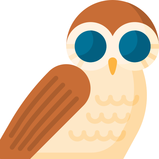 Owl Special Flat icon