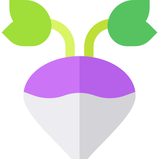 Turnip Basic Straight Flat icon