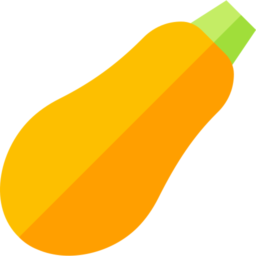 zucchini Basic Straight Flat icon