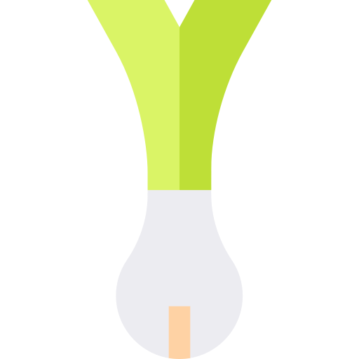 puerro Basic Straight Flat icono