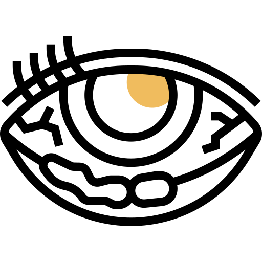 結膜炎 Meticulous Yellow shadow icon