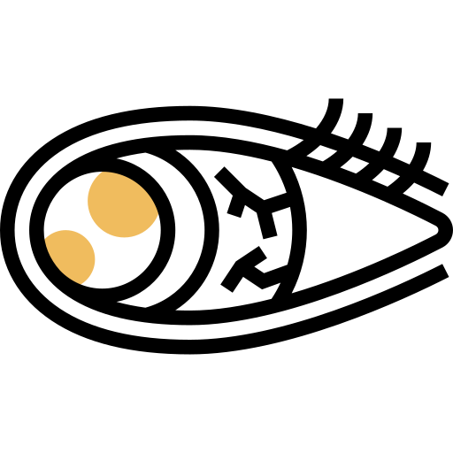 角膜 Meticulous Yellow shadow icon