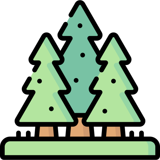 Forest Special Lineal color icon